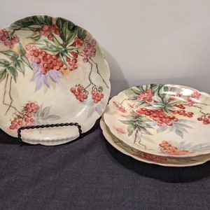 Collectible Haviland Limoges Plate - Red Currant Berry Motif - Antique French Porcelain