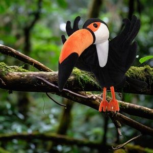 Toco the tuocan