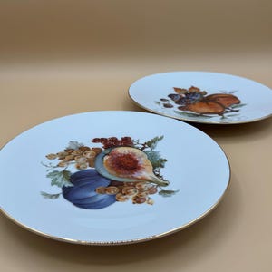 Hutschenreuther Fruit Plates - Etsy