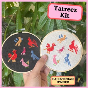 Beginner Palestinian Tatreez Embroidery Kit: Birds of Ramallah DIY Gift