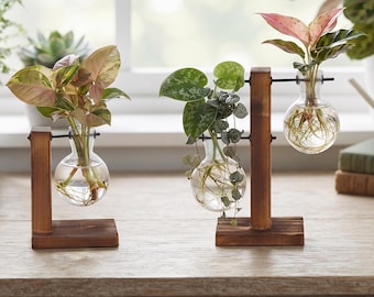 Hydrocultuur Plant Terrarium Glazen Vaas Bureau Woondecoratie