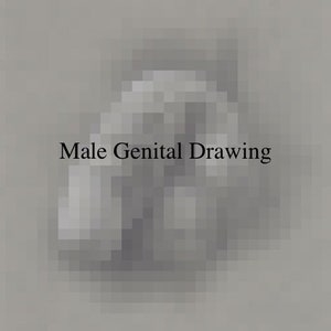 Original Fitness Male Model Genital Pencil and Charcoal on Toned Paper Drawing —— MATTED. Beautiful Men Interest. Formation Series P14-8/23.