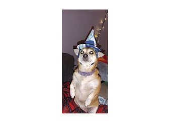 Witch Hat for Halloween with Stiff Brim Small Pets Dogs Cats Bunnies Clothing Outfits Costume Hats