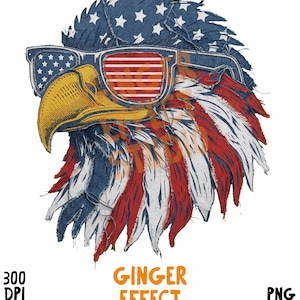 May include: A graphic illustration of a bald eagle head wearing sunglasses, featuring a red, white, and blue American flag pattern on the feathers and lenses. The text GINGER EFFECT STUDIO appears below the eagle, with 300 DPI and 4500 X 5400 PX.