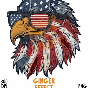 May include: A digital graphic of an eagle head featuring a denim-textured pattern with white stars on the crown and red and white stripes on the neck feathers. The eagle wears black-framed sunglasses with American flag lenses and has a yellow beak.