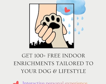 Programmi di arricchimento ambientale per cani da utilizzare in casa durante le giornate di pioggia / Personalizzati in base al tuo animale domestico e al tuo stile di vita