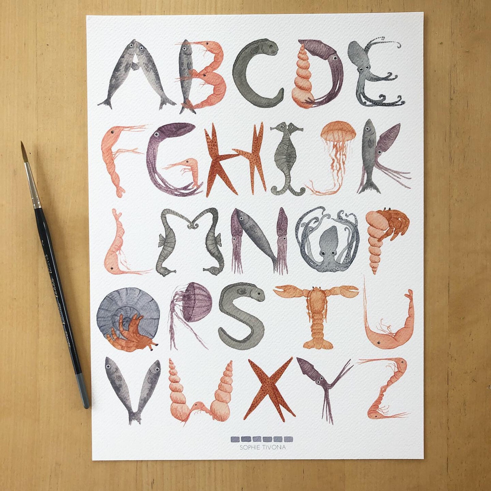 Sea Life Alphabet Giclée Print - Etsy