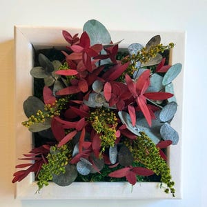 Puede incluir: Un marco cuadrado blanco que contiene un arreglo denso de elementos bot&aacute;nicos preservados. La composici&oacute;n presenta hojas de eucalipto de color rojo intenso, follaje de eucalipto verde salvia redondeado y racimos de peque&ntilde;as flores texturizadas de color amarillo verdoso.