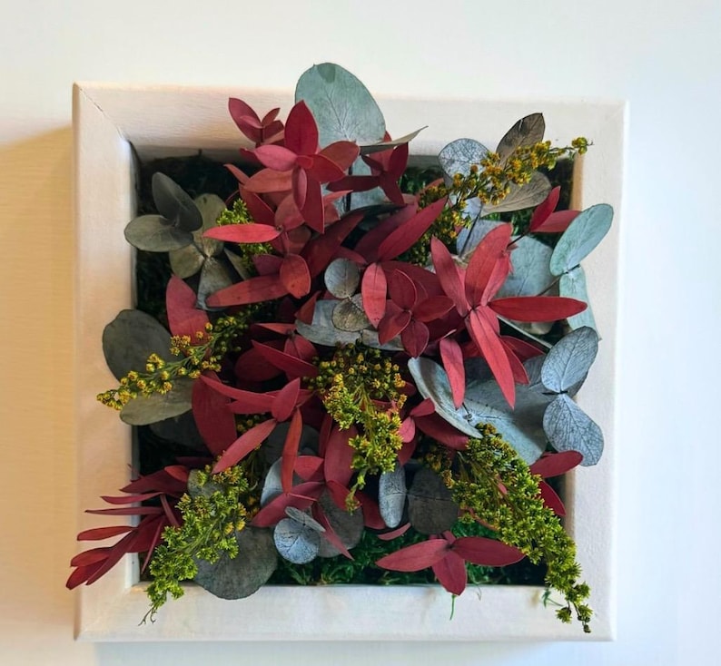 Puede incluir: Un marco cuadrado blanco que contiene un arreglo denso de elementos bot&aacute;nicos preservados. La composici&oacute;n presenta hojas de eucalipto de color rojo intenso, follaje de eucalipto verde salvia redondeado y racimos de peque&ntilde;as flores texturizadas de color amarillo verdoso.