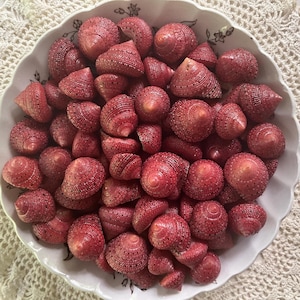 Strawberry Top Shells For Sailor Valentines Arts & Crafts Flower Centers Coastal Accents