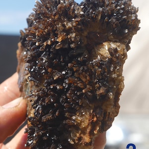 May include: A cluster of dark brown, translucent, needle-like quartz crystals forming a dense, jagged formation. The mineral specimen features numerous sharp, pointed terminations radiating outwards from a central, lighter-coloured rocky base.