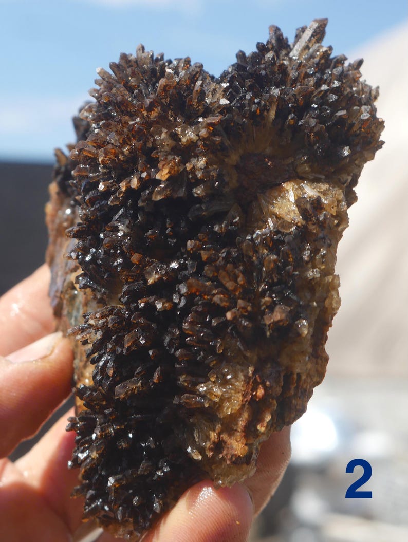 May include: A cluster of dark brown, translucent, needle-like quartz crystals forming a dense, jagged formation. The mineral specimen features numerous sharp, pointed terminations radiating outwards from a central, lighter-coloured rocky base.