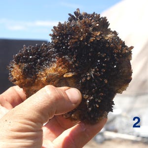 May include: A cluster of dark brown, needle-like crystals growing from a textured, earthy base. The mineral specimen features numerous sharp, pointed formations with a deep, translucent coloration. The number 2 is visible in the corner.