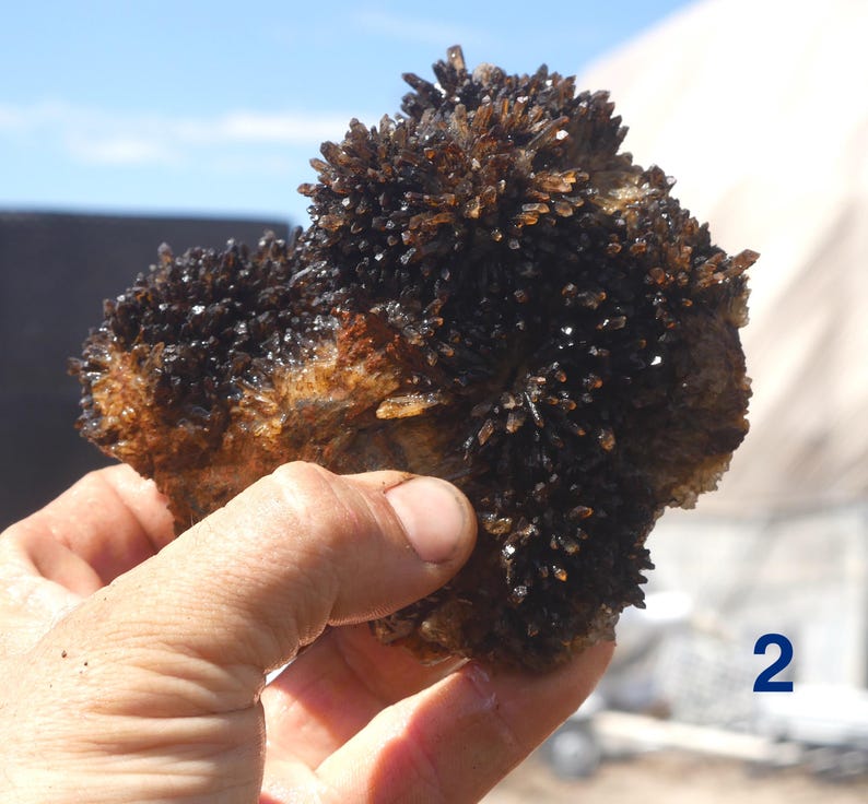 May include: A cluster of dark brown, needle-like crystals growing from a textured, earthy base. The mineral specimen features numerous sharp, pointed formations with a deep, translucent coloration. The number 2 is visible in the corner.