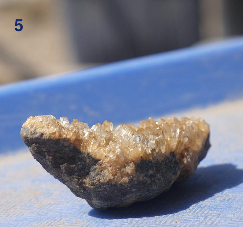 May include: A raw mineral specimen featuring a cluster of translucent, light amber-coloured crystals growing from a dark, textured, charcoal-grey rock base. The number 5 is printed in dark blue in the upper left corner of the image frame.