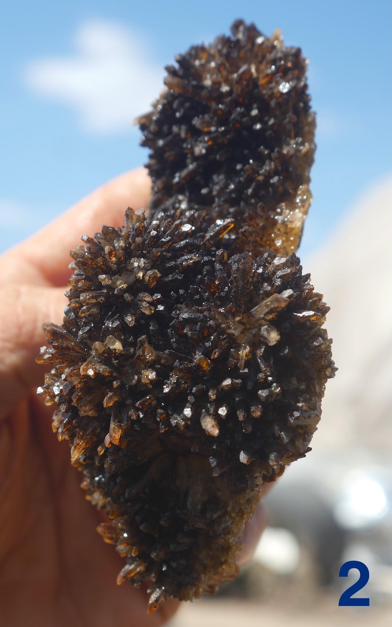 May include: A cluster of dark brown, translucent, needle-like crystals forming a jagged, multi-lobed mineral specimen. The individual points are sharp and densely packed, reflecting light with a glossy finish across the entire textured surface.