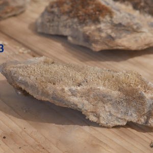 May include: A rough, elongated mineral specimen labelled with the number 3, featuring a textured, crystalline surface in shades of beige and light brown, with a jagged, uneven edge and a dense cluster of small, light-coloured mineral formations.