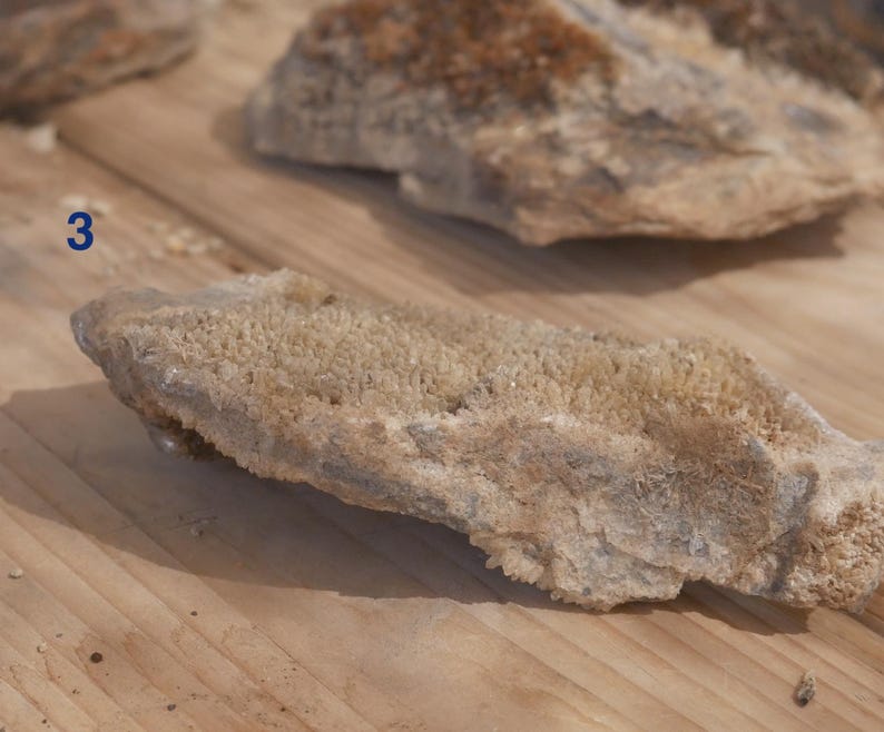 May include: A rough, elongated mineral specimen labelled with the number 3, featuring a textured, crystalline surface in shades of beige and light brown, with a jagged, uneven edge and a dense cluster of small, light-coloured mineral formations.