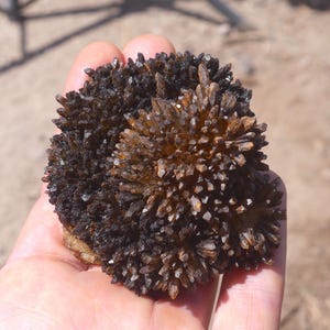 May include: A dark brown, spiky mineral cluster featuring numerous small, sharp, crystalline points radiating outward from a central base. The specimen displays a deep, earthy coloration with translucent amber highlights visible on the tips.