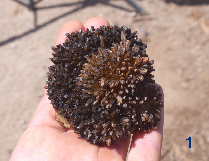 May include: A dark brown, spiky mineral cluster featuring numerous small, sharp, crystalline points radiating outward from a central base. The specimen displays a deep, earthy coloration with translucent amber highlights visible on the tips.
