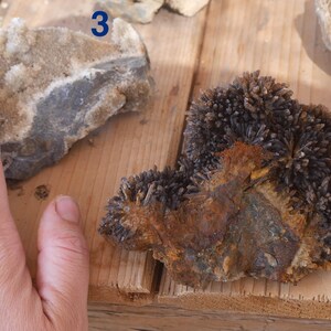 May include: A mineral specimen labelled with the number 2, featuring dark, needle-like crystal clusters emerging from a textured, rust-coloured, and earthy base. Beside it, a second mineral specimen labelled 3 displays a light tan, crystalline surface.