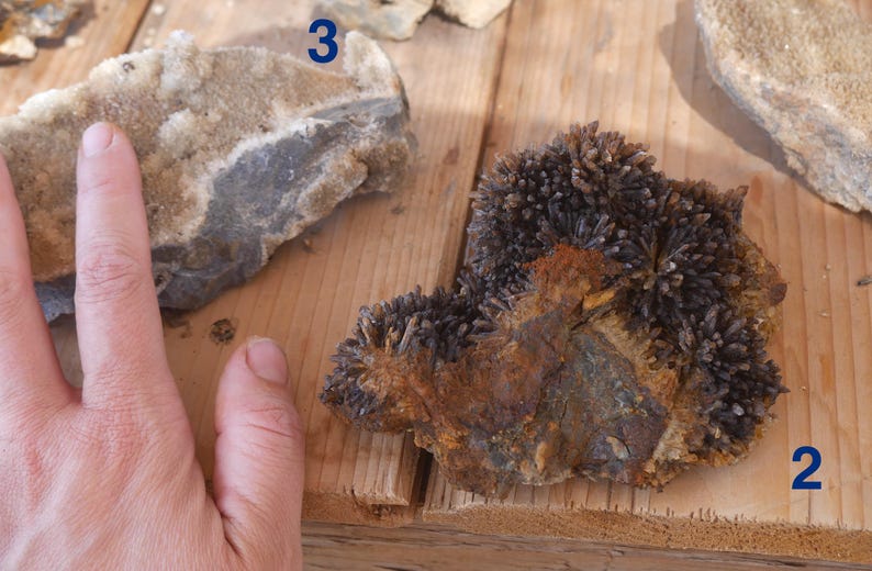 May include: A mineral specimen labelled with the number 2, featuring dark, needle-like crystal clusters emerging from a textured, rust-coloured, and earthy base. Beside it, a second mineral specimen labelled 3 displays a light tan, crystalline surface.