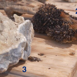 May include: Two raw mineral specimens labelled with the numbers 2 and 3. The specimen labelled 2 is a dark brown, crystalline cluster with a textured surface. The specimen labelled 3 is a light beige and grey rock with a rough, crystalline interior.