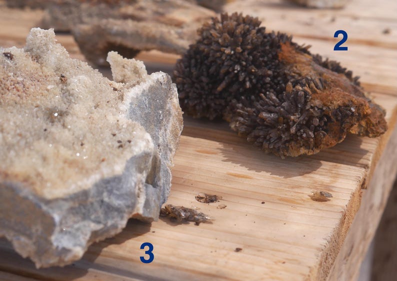 May include: Two raw mineral specimens labelled with the numbers 2 and 3. The specimen labelled 2 is a dark brown, crystalline cluster with a textured surface. The specimen labelled 3 is a light beige and grey rock with a rough, crystalline interior.