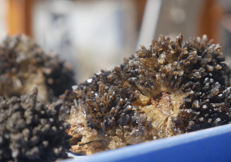 May include: A cluster of dark brown, needle-like crystals forming a dense, textured formation. The mineral specimen features sharp, pointed crystalline structures that appear deep brown to black in colour, set against a lighter, tan-coloured base.