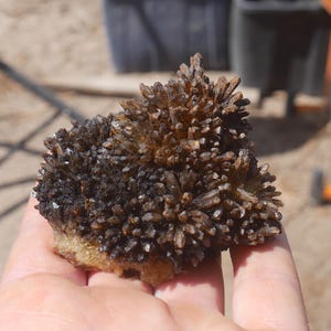 May include: A cluster of dark brown, translucent, needle-like quartz crystals forming a dense, spiky formation. The mineral specimen features a rough, light-coloured base and is marked with the number 1 in the lower right corner of the image.