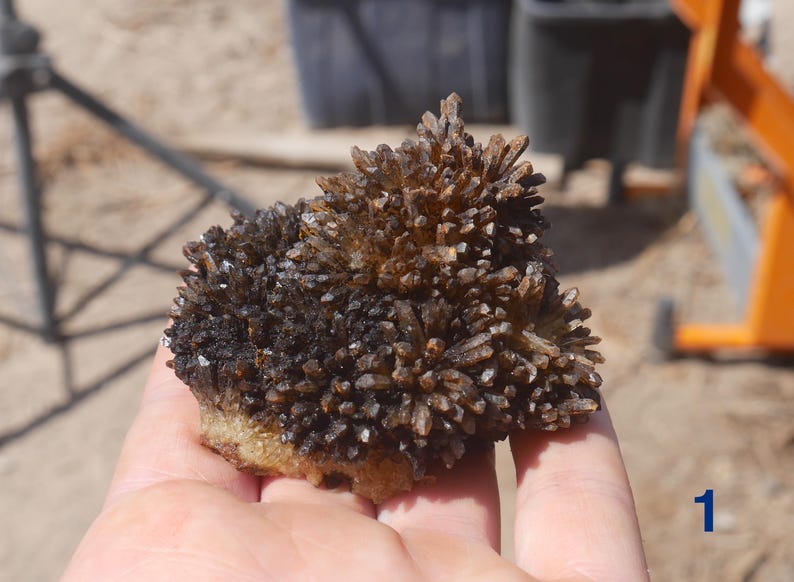 May include: A cluster of dark brown, translucent, needle-like quartz crystals forming a dense, spiky formation. The mineral specimen features a rough, light-coloured base and is marked with the number 1 in the lower right corner of the image.