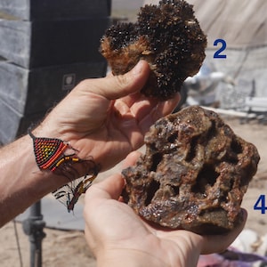 May include: Two distinct mineral specimens are held in view. Specimen 2 is a dark, crystalline cluster with a rough texture. Specimen 4 is a porous, brownish-red rock with an irregular, cavernous surface. A beaded bracelet with a rainbow pattern is visible.