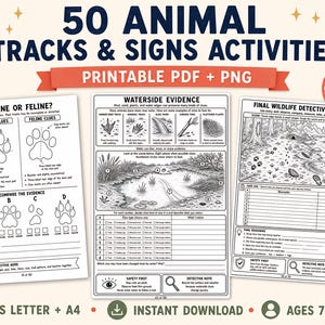 May include: A set of 50 printable animal tracks and signs activity pages in PDF and PNG formats. The sheets feature black and white illustrations, diagrams of canine and feline paw prints, waterside evidence guides, and wildlife detective case logs.