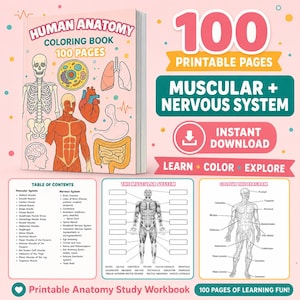 May include: A human anatomy colouring book with 100 printable pages featuring the muscular and nervous systems. The cover displays illustrations of a skeleton, heart, lungs, and brain. Includes a table of contents and diagrams for study.