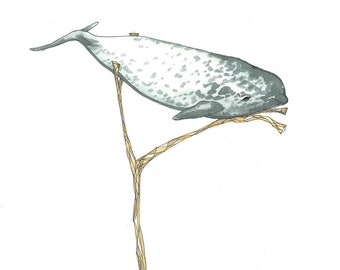 Baby Narwhal - dessin original à l’encre et à l’aquarelle