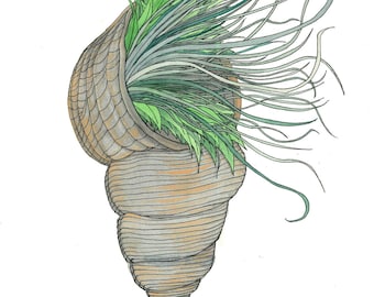 Reappropriation - original ink and watercolor drawing