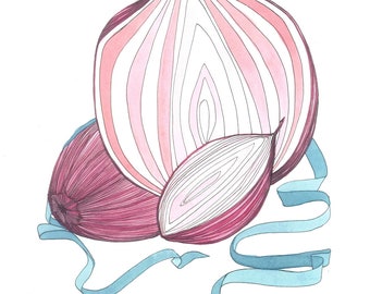 Red Onion - original ink and watercolor drawing, painting, illustration