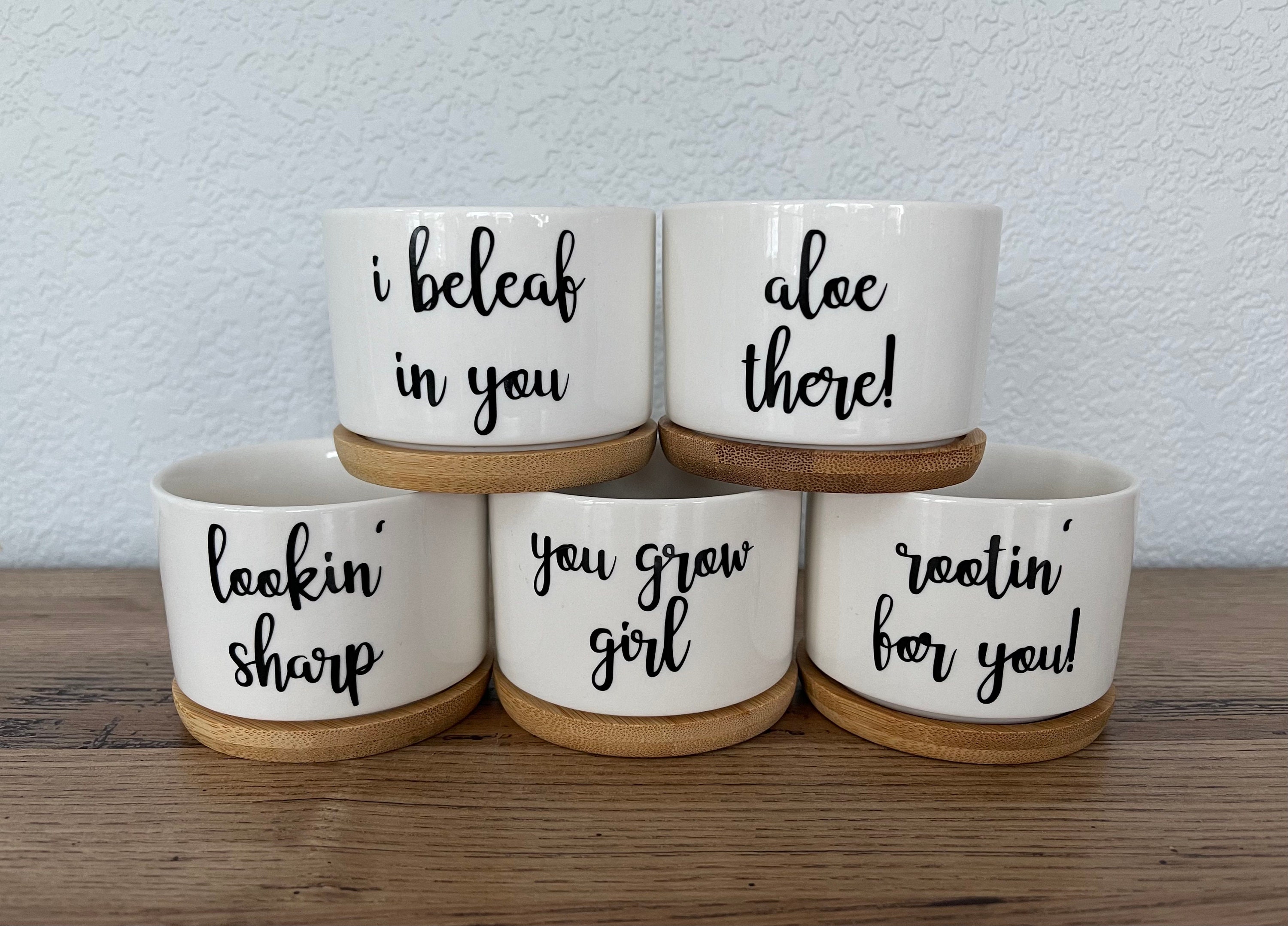 Funny Succulent Pots | Small White Ceramic Pot W Bamboo Tray | Plant ...