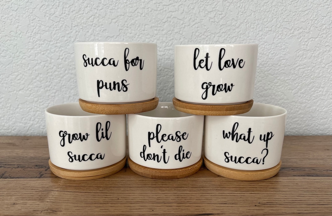 Funny Succulent Pots | Small White Ceramic Pot W Bamboo Tray | Plant ...