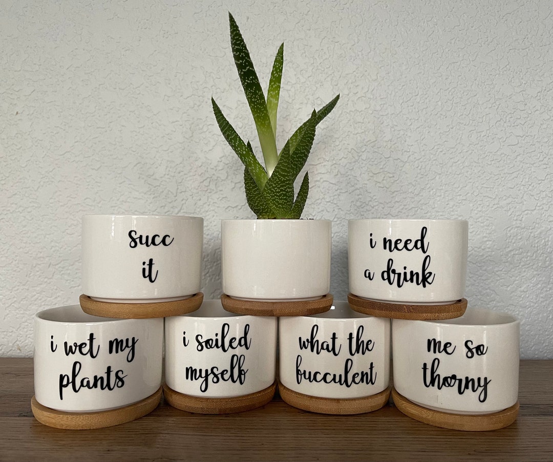 Funny Succulent Pots Small White Ceramic Pot w Bamboo Tray Plant Decor ...