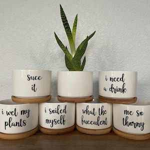 May include: Six white ceramic succulent pots with funny sayings on them. The sayings are "Succ it", "I wet my plants", "I soiled myself", "What the succulent", "I need a drink", and "Me so thorny".