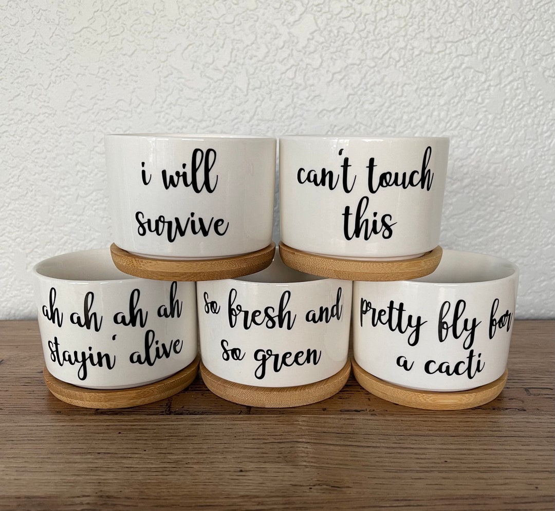 Funny Succulent Pots | Small White Ceramic Pot W Bamboo Tray | Plant ...