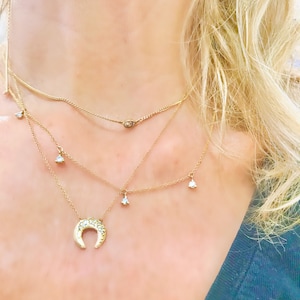 Gold Horse shoe , diamond horn necklace