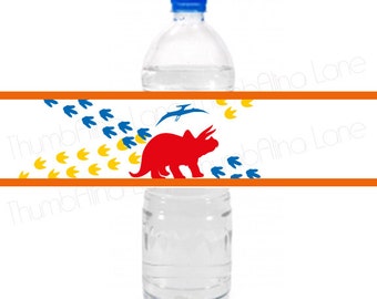 Dinosaur Printable Water Bottle Labels, Instant Download  - Digital File, Printable, DIY