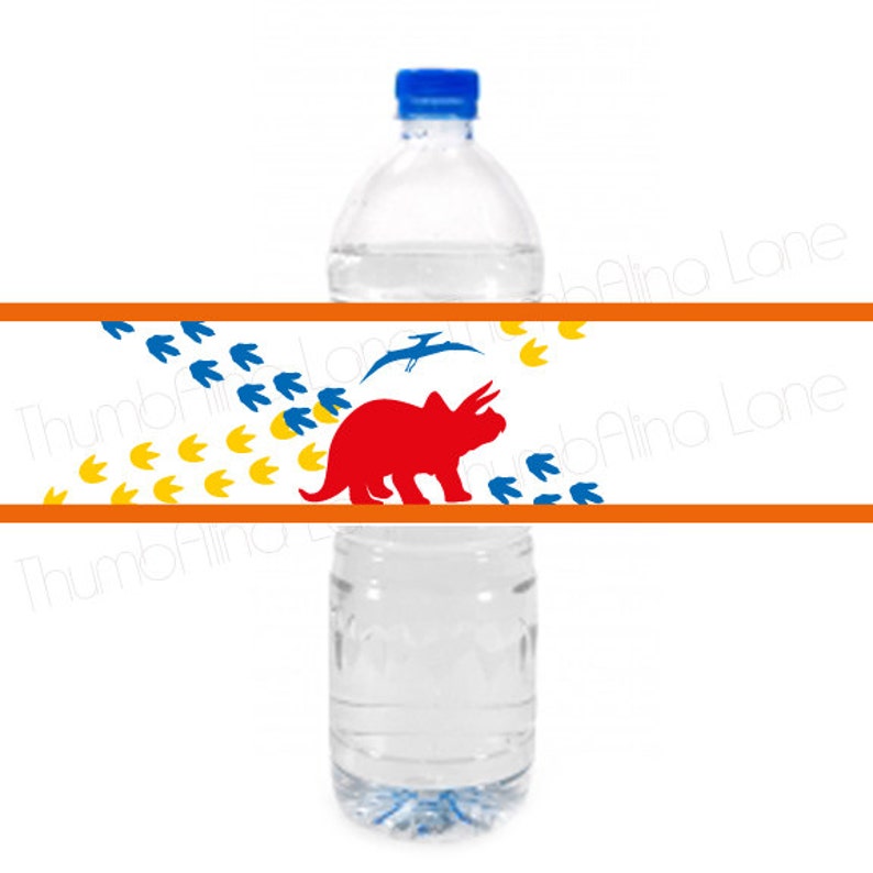 Dinosaur Printable Water Bottle Labels, Instant Download Digital File ...