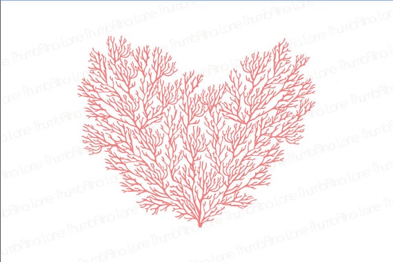 Printable Coral Heart Backdrop, Instant Download, 6ft x 4ft, Coral Reef, Beach, Banner, Party Prop, Photography Prop Il_570xn