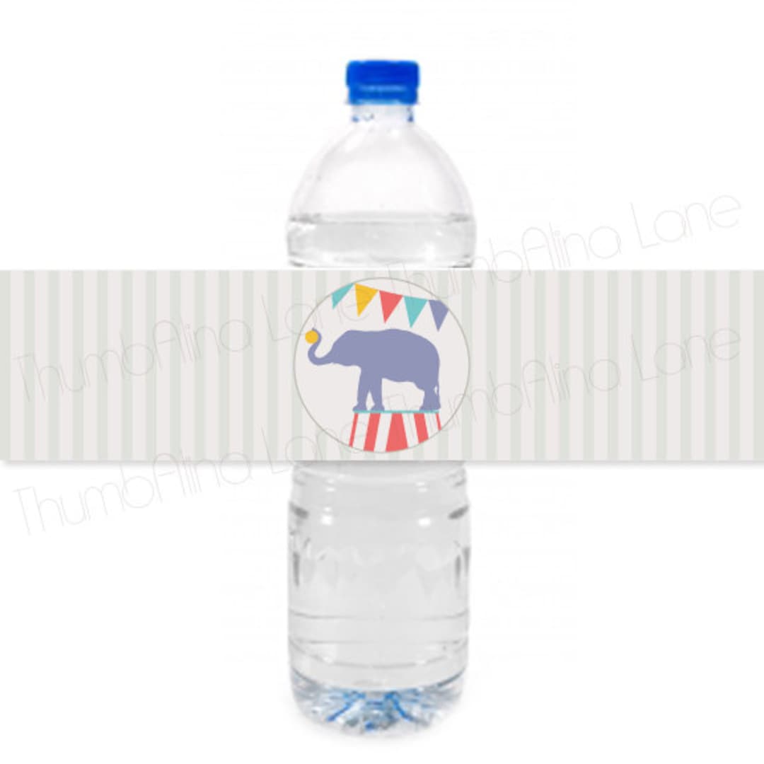 Carnival Circus Printable Water Bottle Labels, Instant Download ...