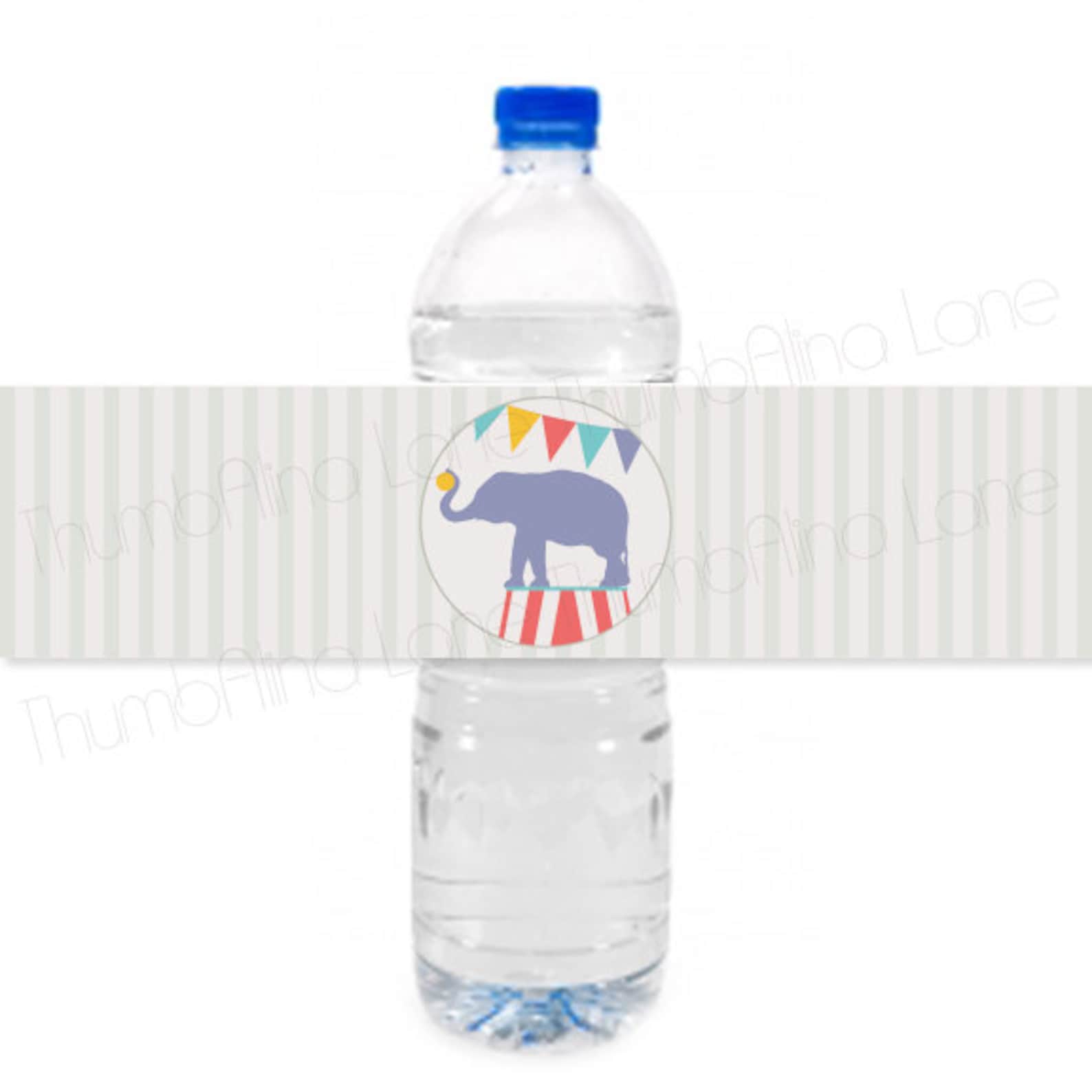 Carnival Circus Printable Water Bottle Labels, Instant Download ...