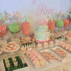 May include: A baby shower dessert table with a light green and pink theme. The table is decorated with cupcakes, cookies, candy jars, and a two-tiered cake. The cake is decorated with butterflies and the name "Rae".