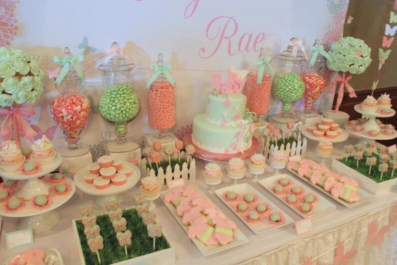 May include: A baby shower dessert table with a light green and pink theme. The table is decorated with cupcakes, cookies, candy jars, and a two-tiered cake. The cake is decorated with butterflies and the name "Rae".